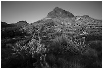 Pictures of Castle Mountains National Monument