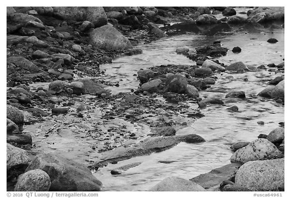 Golden reflections in Whitewater River, Whitewater Preserve. Sand to Snow National Monument, California, USA (black and white)