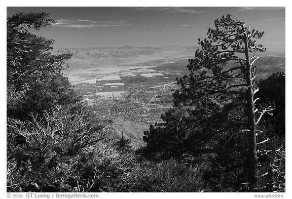 Coachella Valley seen from Mountain Station. Santa Rosa and San Jacinto Mountains National Monument, California, USA (black and white)
