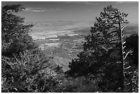 Coachella Valley seen from Mountain Station. Santa Rosa and San Jacinto Mountains National Monument, California, USA ( black and white)