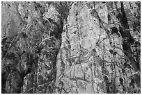 Striated cliff in Chino Canyon, north face of San Jacinto Peak. Santa Rosa and San Jacinto Mountains National Monument, California, USA ( black and white)