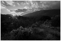 Sun rising and Santa Rosa Mountains. Santa Rosa and San Jacinto Mountains National Monument, California, USA ( black and white)