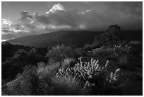 Pictures of Santa Rosa and San Jacinto Mountains National Monument