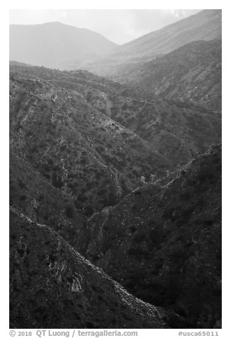 Deep Canyon. Santa Rosa and San Jacinto Mountains National Monument, California, USA (black and white)
