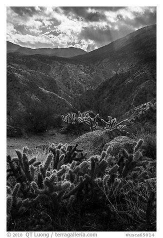 Santa Rosa Wilderness. Santa Rosa and San Jacinto Mountains National Monument, California, USA (black and white)
