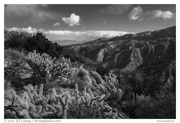 Deep Canyon from Santa Rosa Wilderness. Santa Rosa and San Jacinto Mountains National Monument, California, USA (black and white)