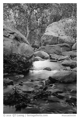 Creek below Tahquitz Falls, Tahquitz Canyon, Palm Springs. Santa Rosa and San Jacinto Mountains National Monument, California, USA (black and white)