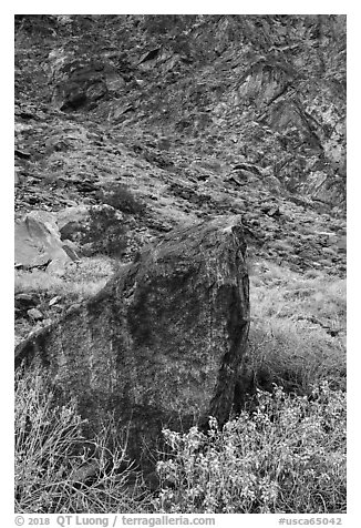 Boulder and canyon slope, Tahquitz Canyon, Palm Springs. Santa Rosa and San Jacinto Mountains National Monument, California, USA (black and white)