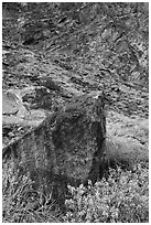 Boulder and canyon slope, Tahquitz Canyon, Palm Springs. Santa Rosa and San Jacinto Mountains National Monument, California, USA ( black and white)