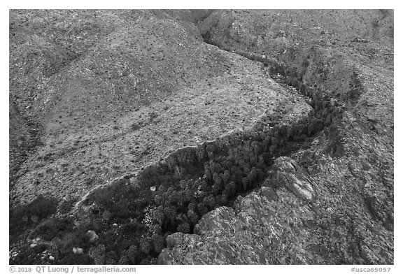 Aerial view of canyon with palm trees. Santa Rosa and San Jacinto Mountains National Monument, California, USA (black and white)