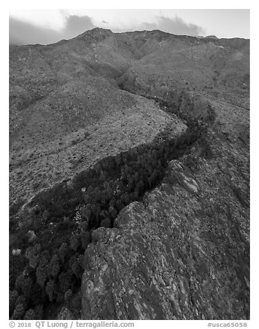 Aerial view of canyon with palm trees at the base of San Jacinto Mountains. Santa Rosa and San Jacinto Mountains National Monument, California, USA (black and white)