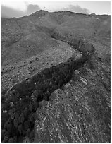 Aerial view of canyon with palm trees at the base of San Jacinto Mountains. Santa Rosa and San Jacinto Mountains National Monument, California, USA ( black and white)