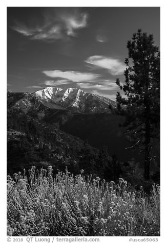 Snow-capped Mount Baldy. San Gabriel Mountains National Monument, California, USA (black and white)