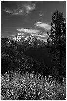 Snow-capped Mount Baldy. San Gabriel Mountains National Monument, California, USA ( black and white)