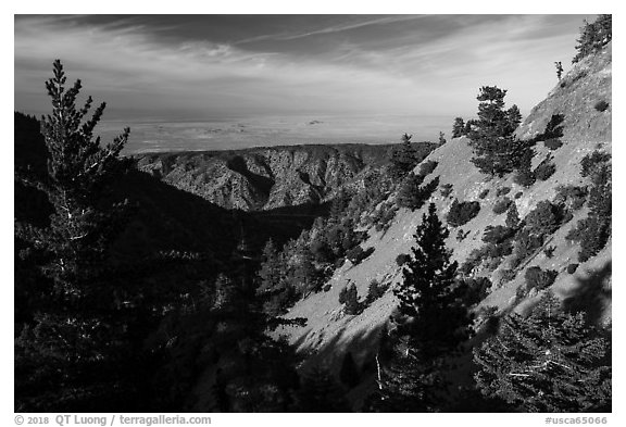 Looking towards the Mojave Desert from the crest. San Gabriel Mountains National Monument, California, USA (black and white)