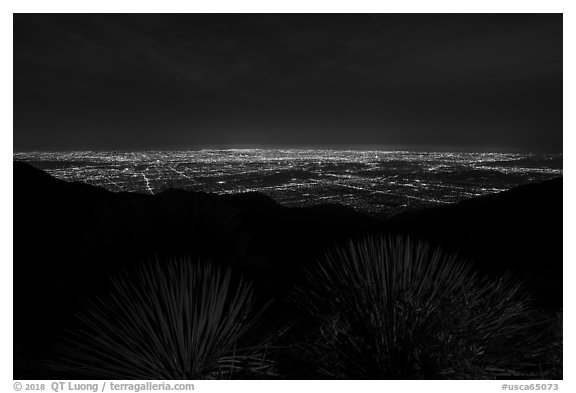 Succulents and lights of Los Angeles at night from Mount Wilson. San Gabriel Mountains National Monument, California, USA (black and white)
