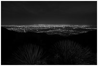 Succulents and lights of Los Angeles at night from Mount Wilson. San Gabriel Mountains National Monument, California, USA ( black and white)