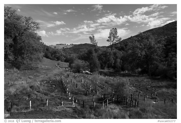 Aerial view of wildlife fence, Knoxville Wildlife Area. Berryessa Snow Mountain National Monument, California, USA (black and white)