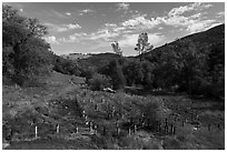 Aerial view of wildlife fence, Knoxville Wildlife Area. Berryessa Snow Mountain National Monument, California, USA ( black and white)