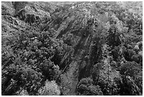 Aerial view of hillside, Cache Creek Wilderness. Berryessa Snow Mountain National Monument, California, USA ( black and white)