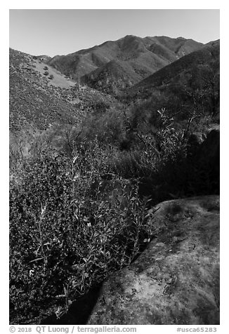 Stebbins Cold Canyon Reserve, Putah Creek Wildlife Area. Berryessa Snow Mountain National Monument, California, USA (black and white)