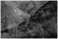 Hills, Stebbins Cold Canyon Reserve, Putah Creek Wildlife Area. Berryessa Snow Mountain National Monument, California, USA ( black and white)