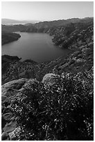 Ridgeline view of spring wildflowers above Lake Berryessa. Berryessa Snow Mountain National Monument, California, USA ( black and white)