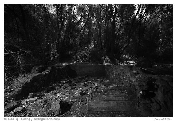 Old Homestead site, Stebbins Cold Canyon Reserve. Berryessa Snow Mountain National Monument, California, USA (black and white)