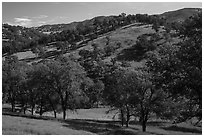 Oak trees and hills in spring. Berryessa Snow Mountain National Monument, California, USA ( black and white)