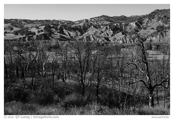 Charred trees and eroded hills, Cache Creek Wilderness. Berryessa Snow Mountain National Monument, California, USA (black and white)