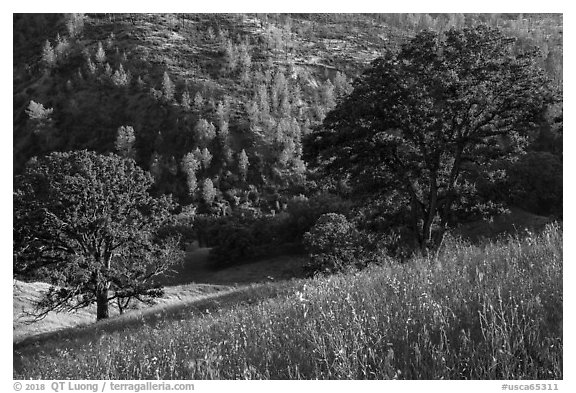 Ridge top view in spring, Cache Creek Wilderness. Berryessa Snow Mountain National Monument, California, USA (black and white)