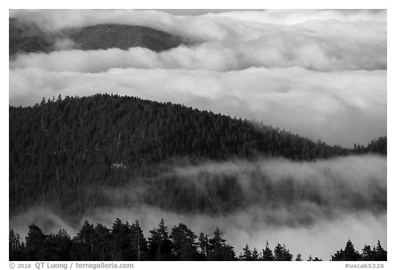 Ridges emerging from sea of clouds, Snow Mountain. Berryessa Snow Mountain National Monument, California, USA (black and white)