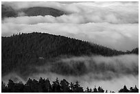 Ridges emerging from sea of clouds, Snow Mountain. Berryessa Snow Mountain National Monument, California, USA ( black and white)