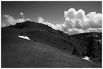 Slopes of East Snow Mountain summit. Berryessa Snow Mountain National Monument, California, USA ( black and white)