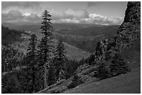 Pines and rocks, Snow Mountain Wilderness. Berryessa Snow Mountain National Monument, California, USA ( black and white)