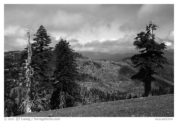 View north from saddle between Snow Mountain summits. Berryessa Snow Mountain National Monument, California, USA (black and white)