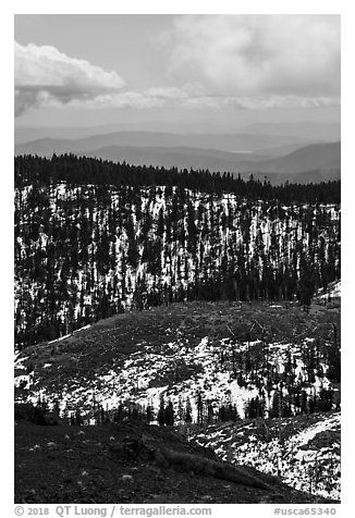 Forested ridges with snow from Snow Mountain. Berryessa Snow Mountain National Monument, California, USA (black and white)