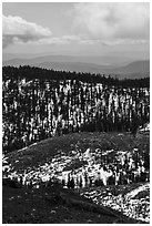 Forested ridges with snow from Snow Mountain. Berryessa Snow Mountain National Monument, California, USA ( black and white)
