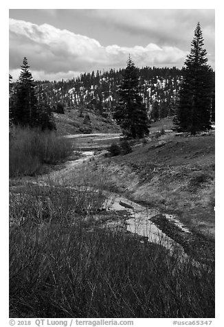 Stream bordered by shrubs with autumn color, Snow Mountain. Berryessa Snow Mountain National Monument, California, USA (black and white)