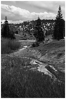 Stream bordered by shrubs with autumn color, Snow Mountain. Berryessa Snow Mountain National Monument, California, USA ( black and white)