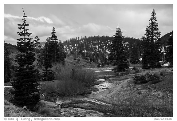 Stream and meadow in early spring with autumn color remnants, Snow Mountain. Berryessa Snow Mountain National Monument, California, USA (black and white)