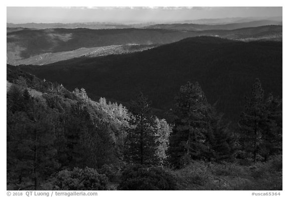 Forested ridges, Snow Mountain Wilderness. Berryessa Snow Mountain National Monument, California, USA (black and white)