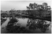 Track flooded by Mojave River, Afton Canyon. Mojave Trails National Monument, California, USA ( black and white)