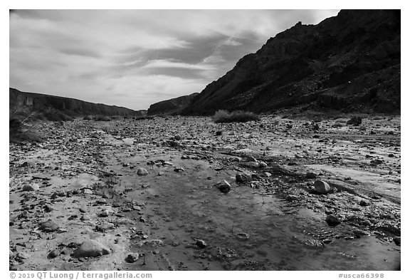 Ankle deep Mojave River runs above the surface in Afton Canyon. Mojave Trails National Monument, California, USA (black and white)