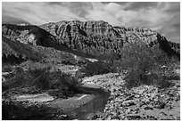 Mojave River and Afton Canyon palissades. Mojave Trails National Monument, California, USA ( black and white)
