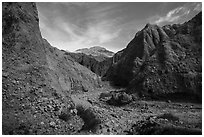 Desert wash in badlands, Afton Canyon. Mojave Trails National Monument, California, USA ( black and white)