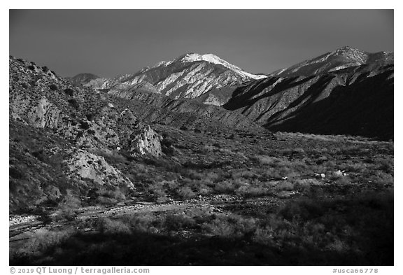 Snowy San Giorgono Mountain, Mission Creek Preserve. Sand to Snow National Monument, California, USA (black and white)