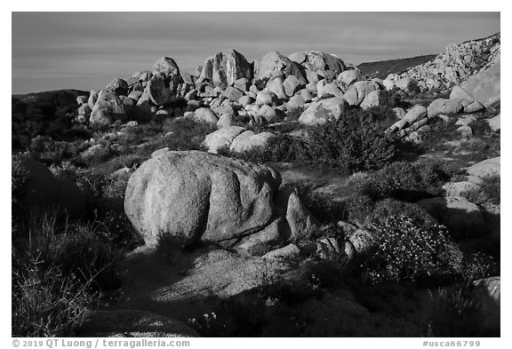 Boulders, Flat Top Butte. Sand to Snow National Monument, California, USA (black and white)