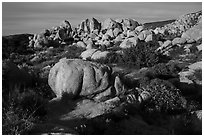 Boulders, Flat Top Butte. Sand to Snow National Monument, California, USA ( black and white)