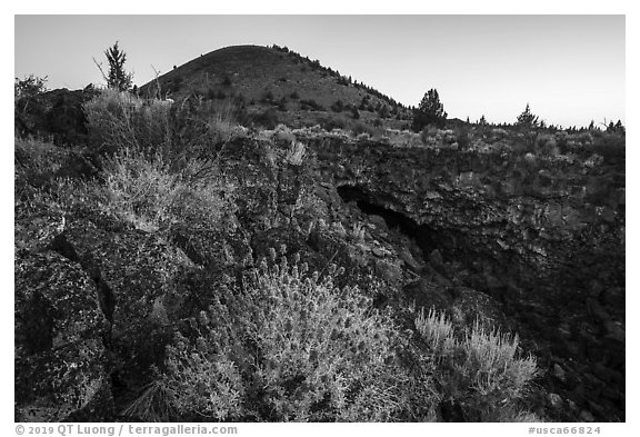 Wildflowers, entrance of Big Painted Cave, Schonchin Butte, dawn. Lava Beds National Monument, California, USA (black and white)